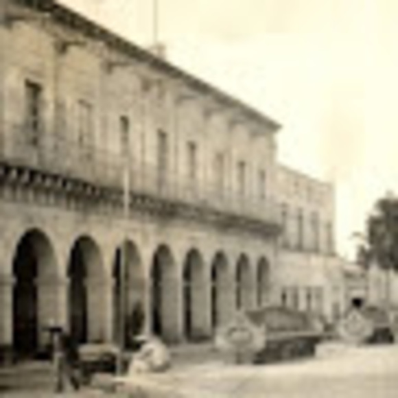 Meet your Posher, Coco - Picture 1 of 1